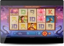 Vegasplus casino