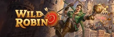 déposer sur wildrobin casino